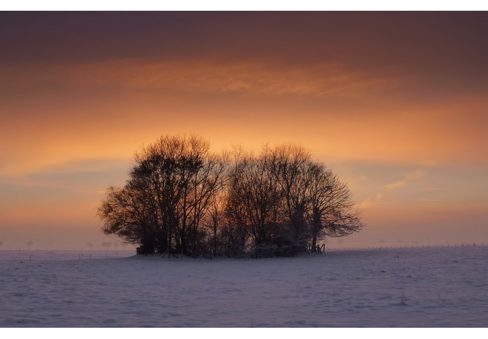 Winter-Sunset