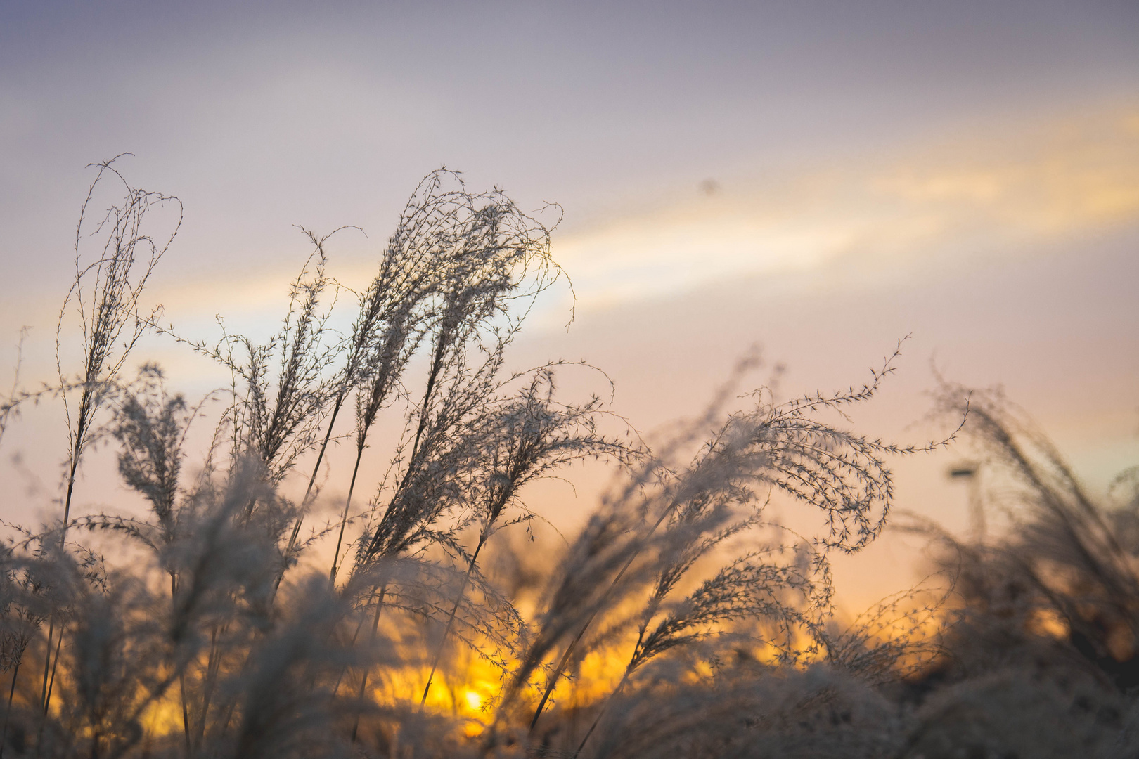 Winter Sunset