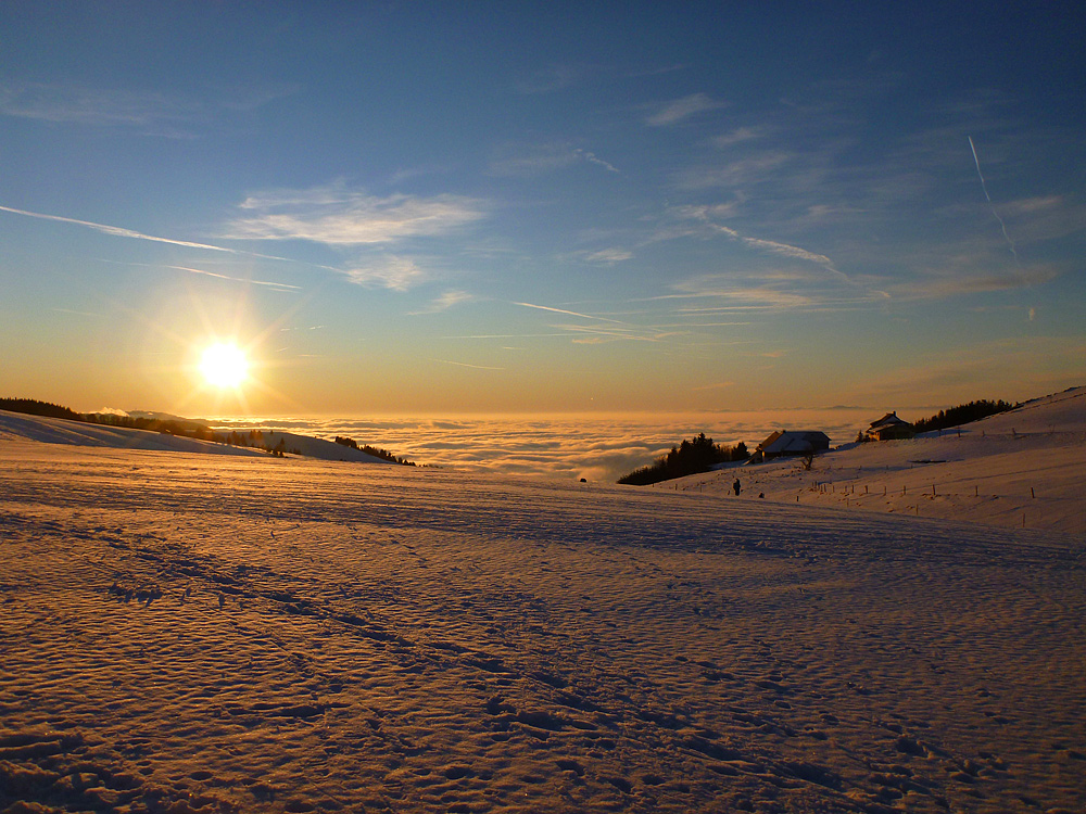 Winter sunset