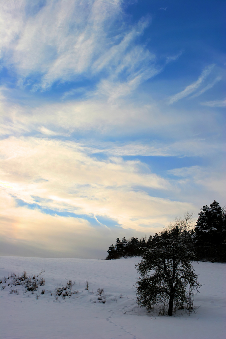 Winter Sunset