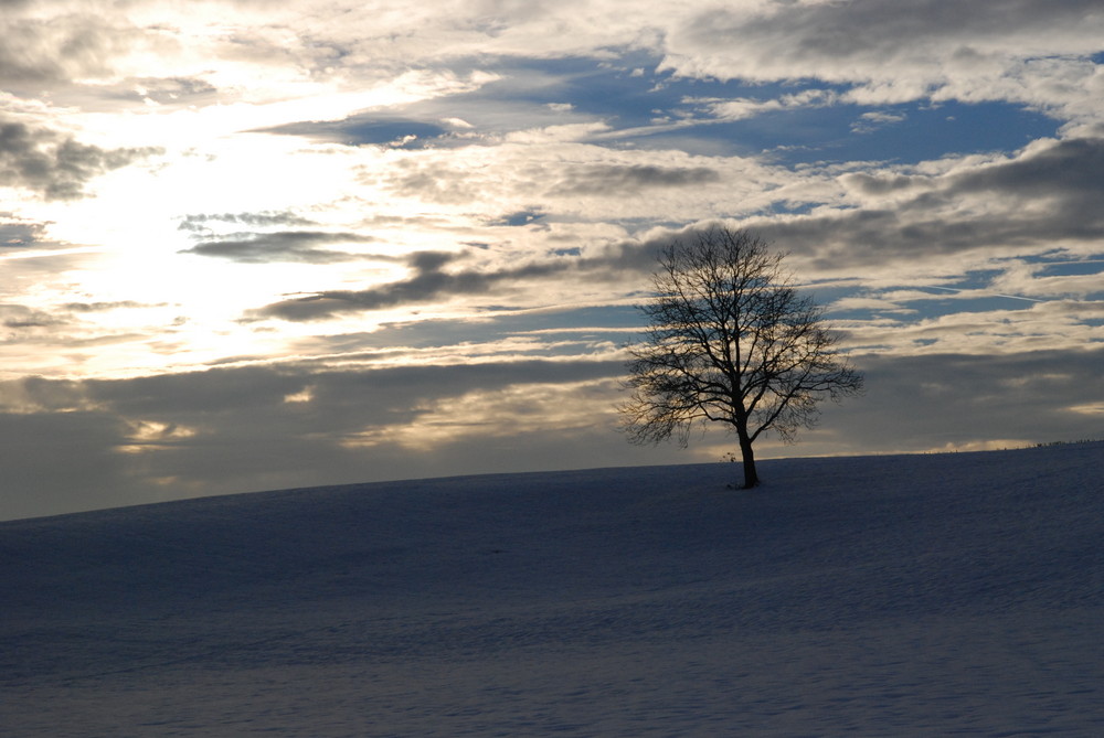 winter sunset