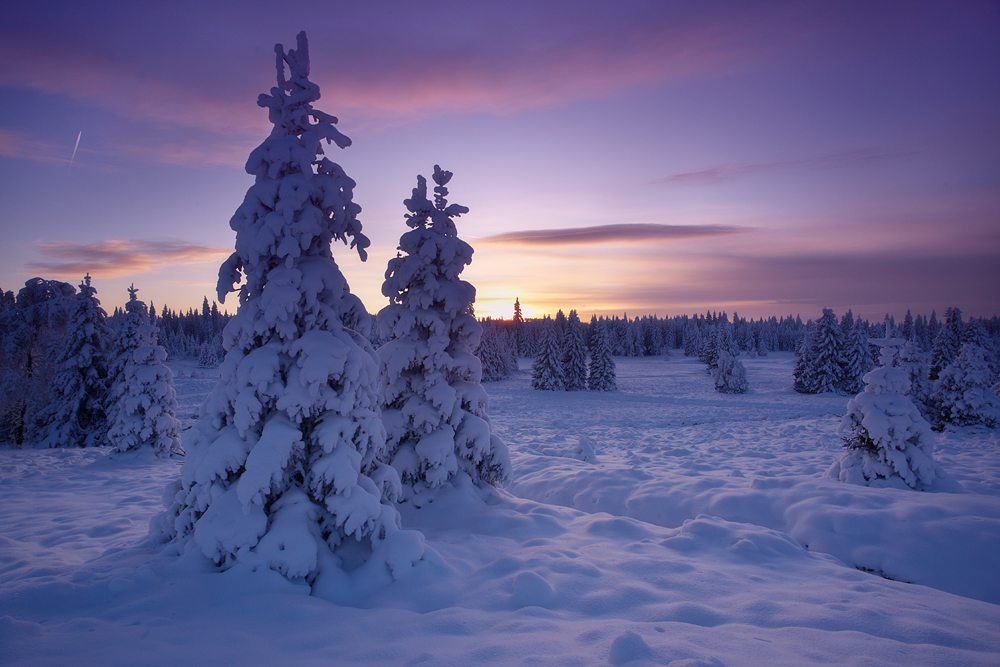 Winter sunset