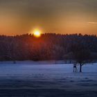 Winter sunset