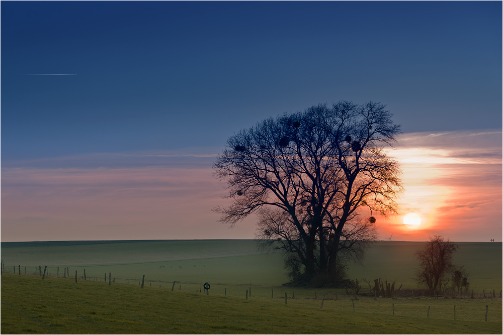 winter sunset