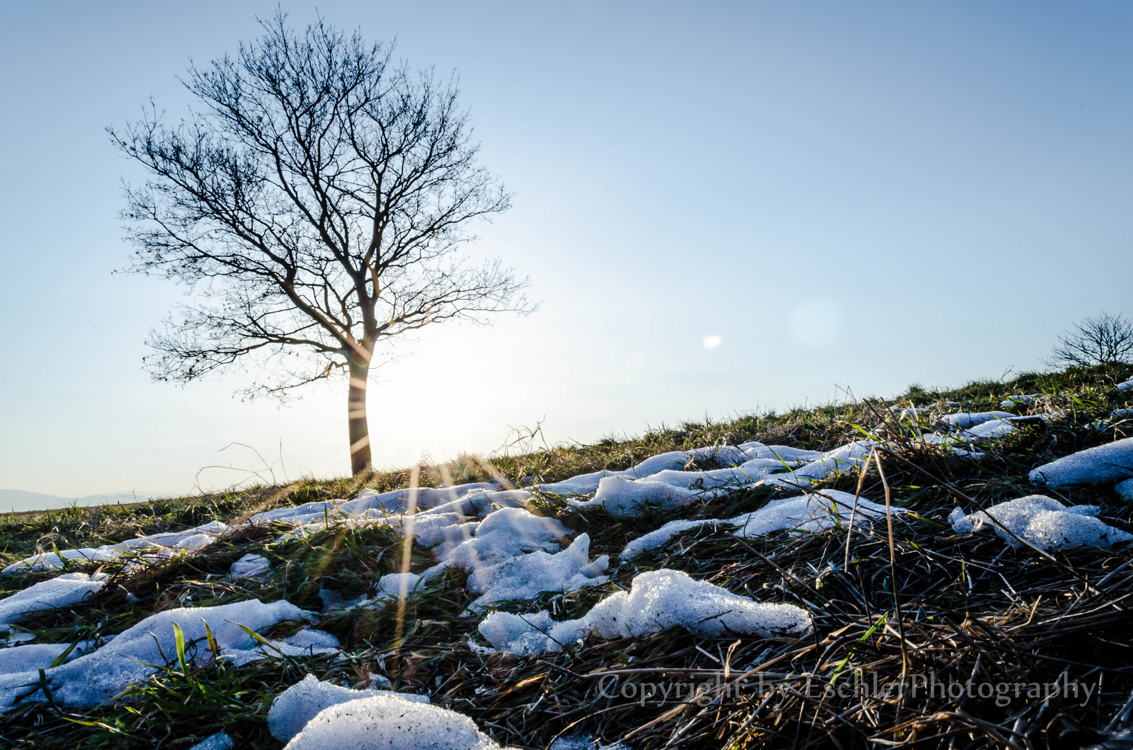 Winter Sunset