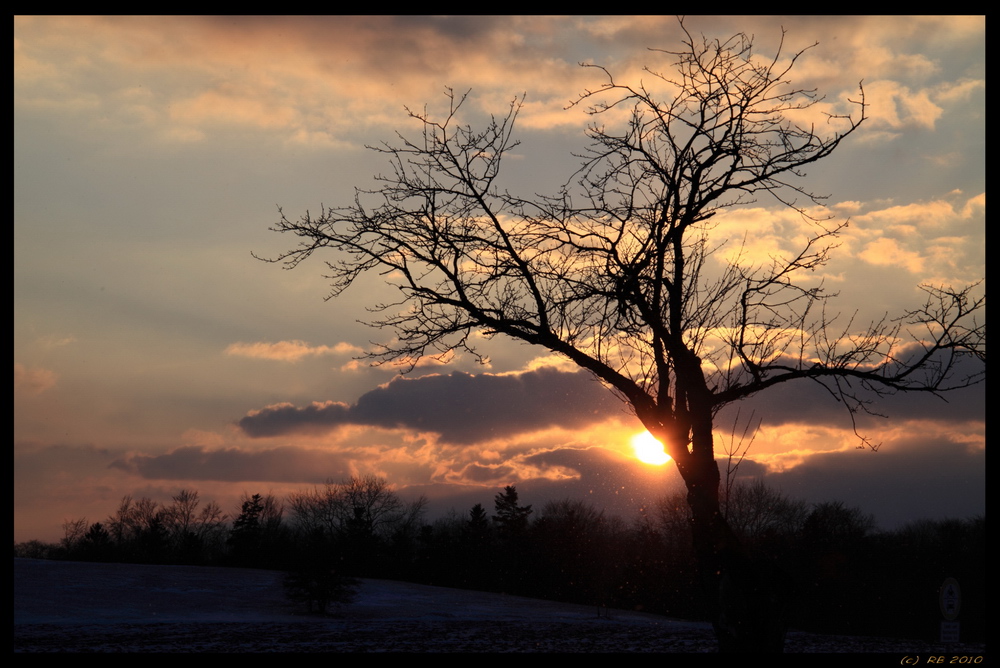 Winter Sunset