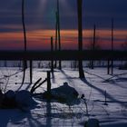 Winter sunset forest