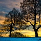 winter sunset I