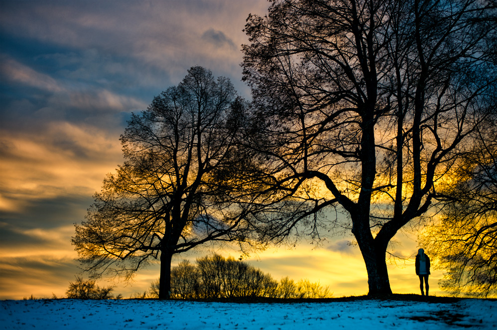 winter sunset I