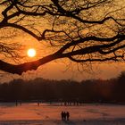 Winter Sunset over Dutzendteich