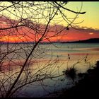 Winter sunset - Trasimeno