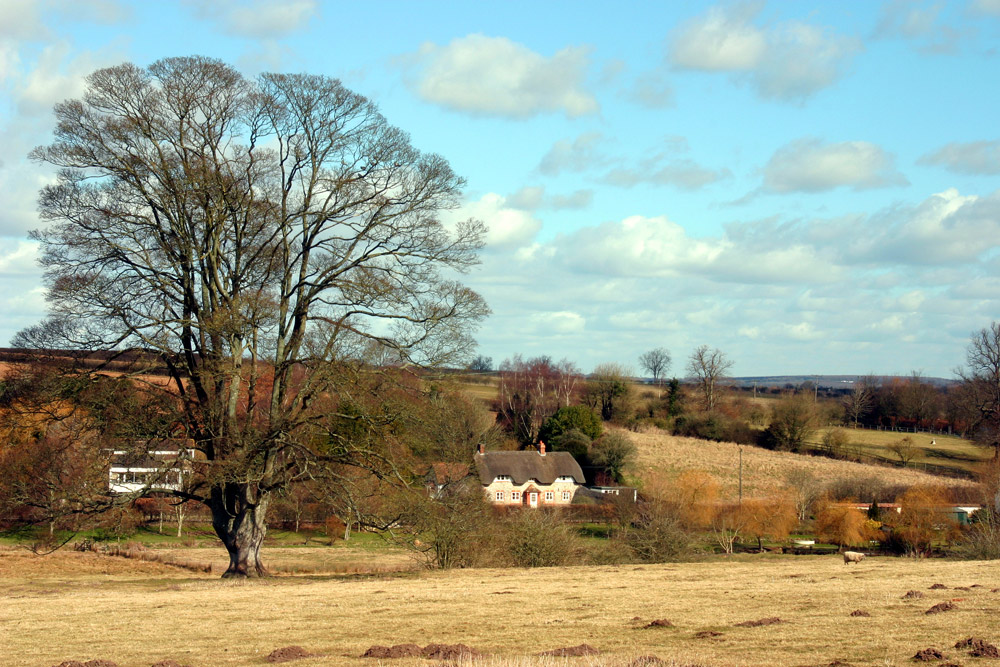 Winter sunshine