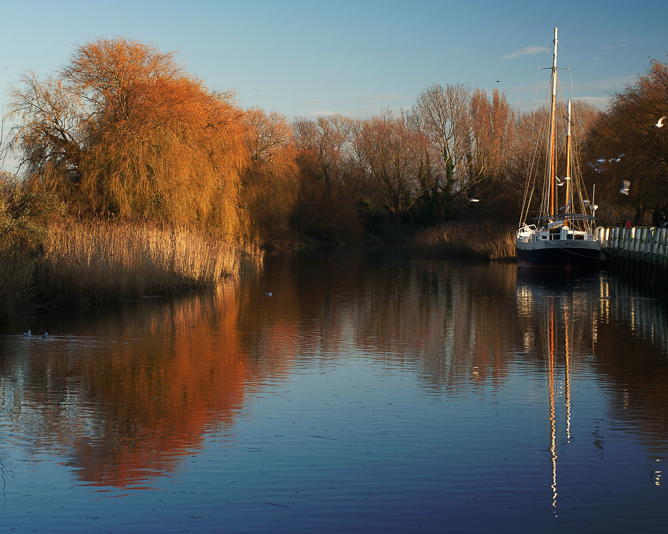 Winter Sunshine on the Stour