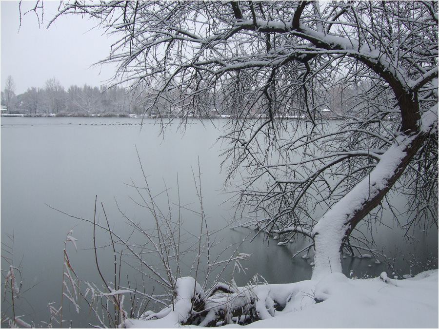 Winter Tag in meinem Heimat