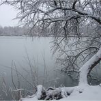 Winter Tag in meinem Heimat