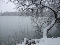 Winter Tag in meinem Heimat