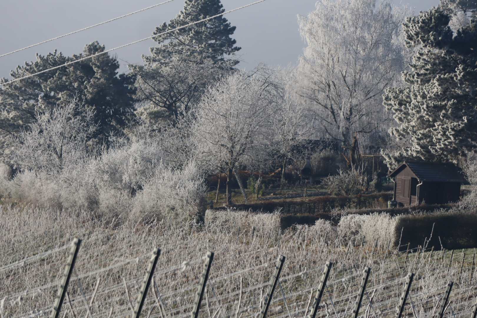 Winter Tage ....