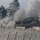 Winter Tage ....