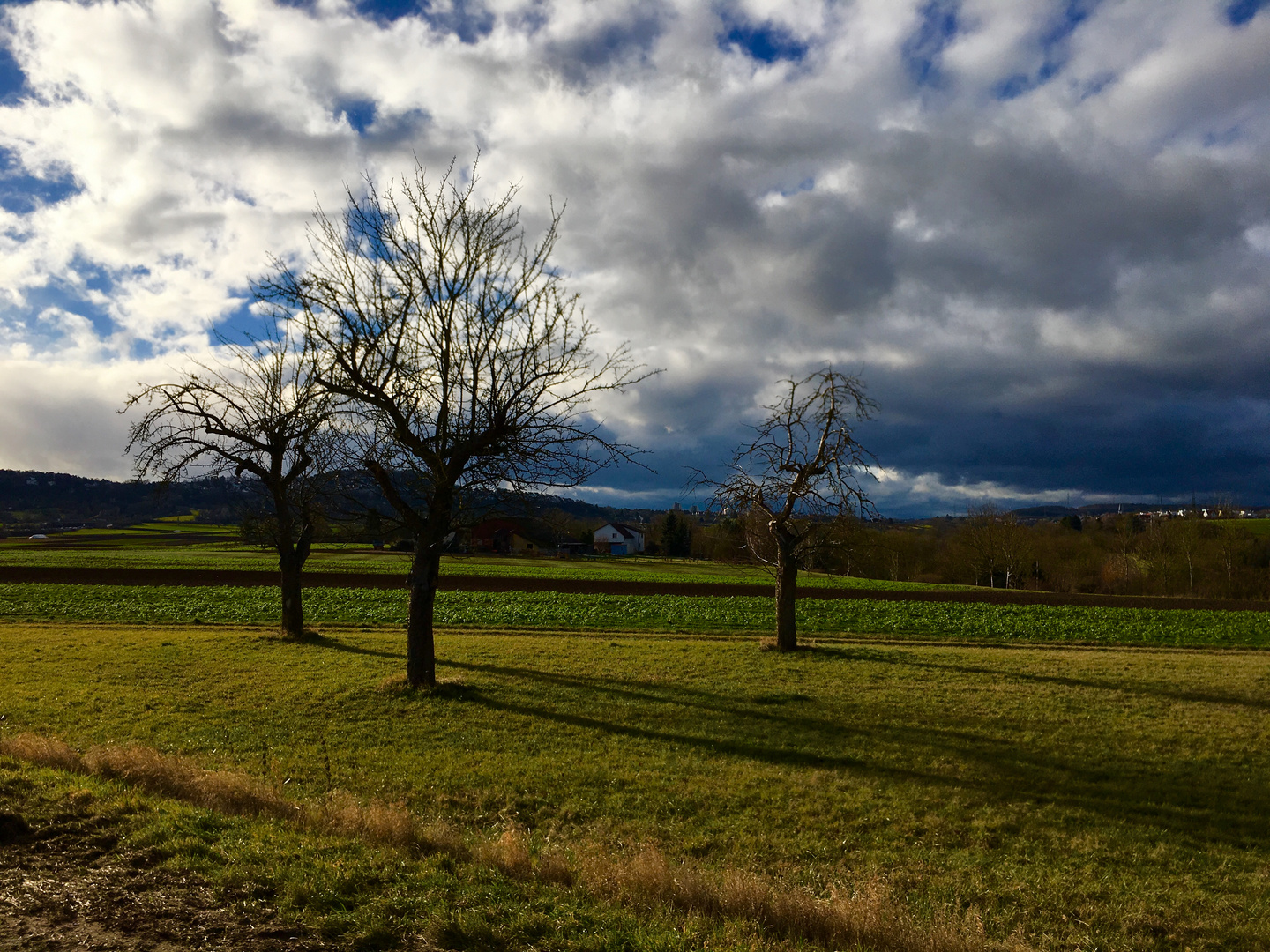 Winter Tage mit zu erahnendem Vorfrühling