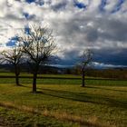 Winter Tage mit zu erahnendem Vorfrühling