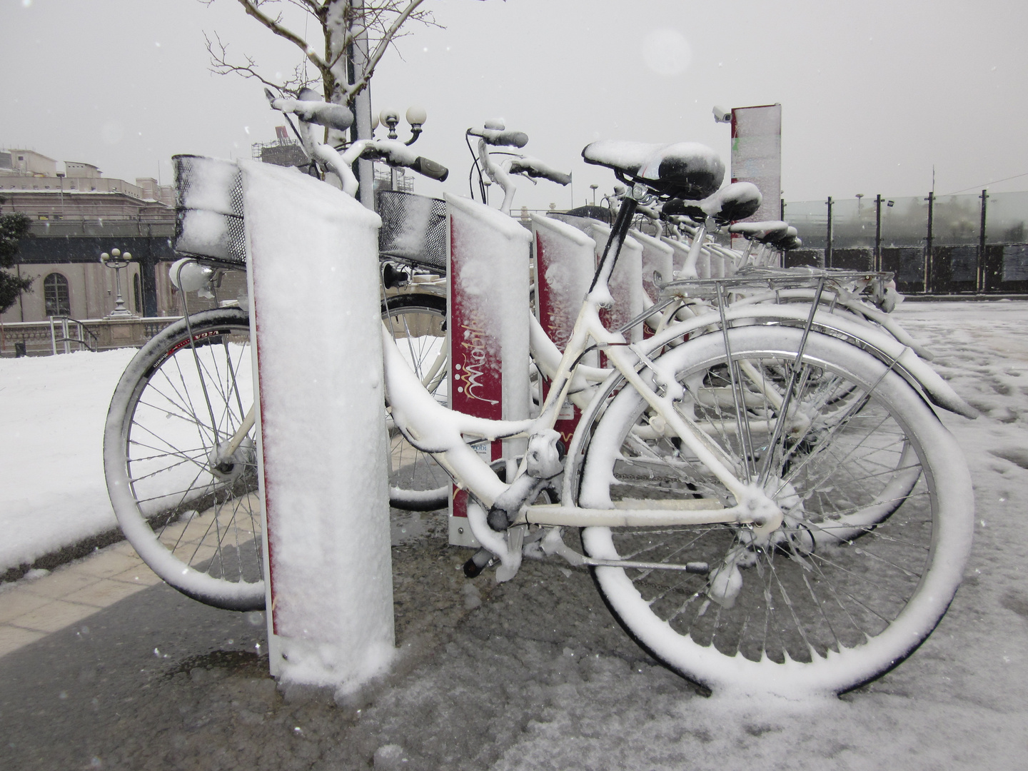 "Winter Tale in Genoa"