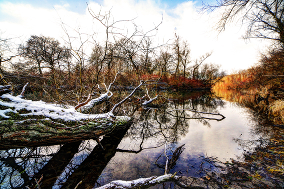 Winter-Taubergießen