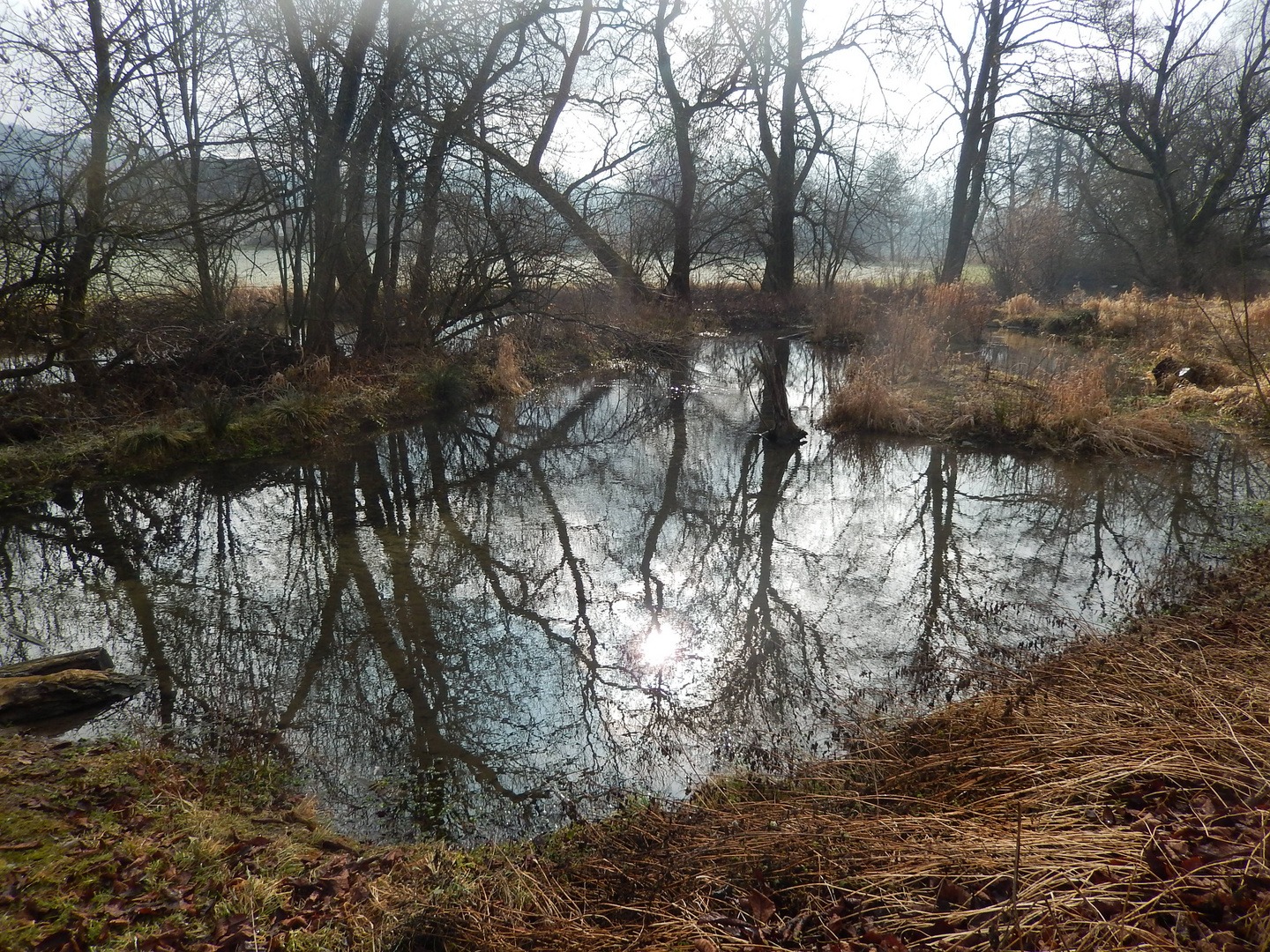 Winter Teich