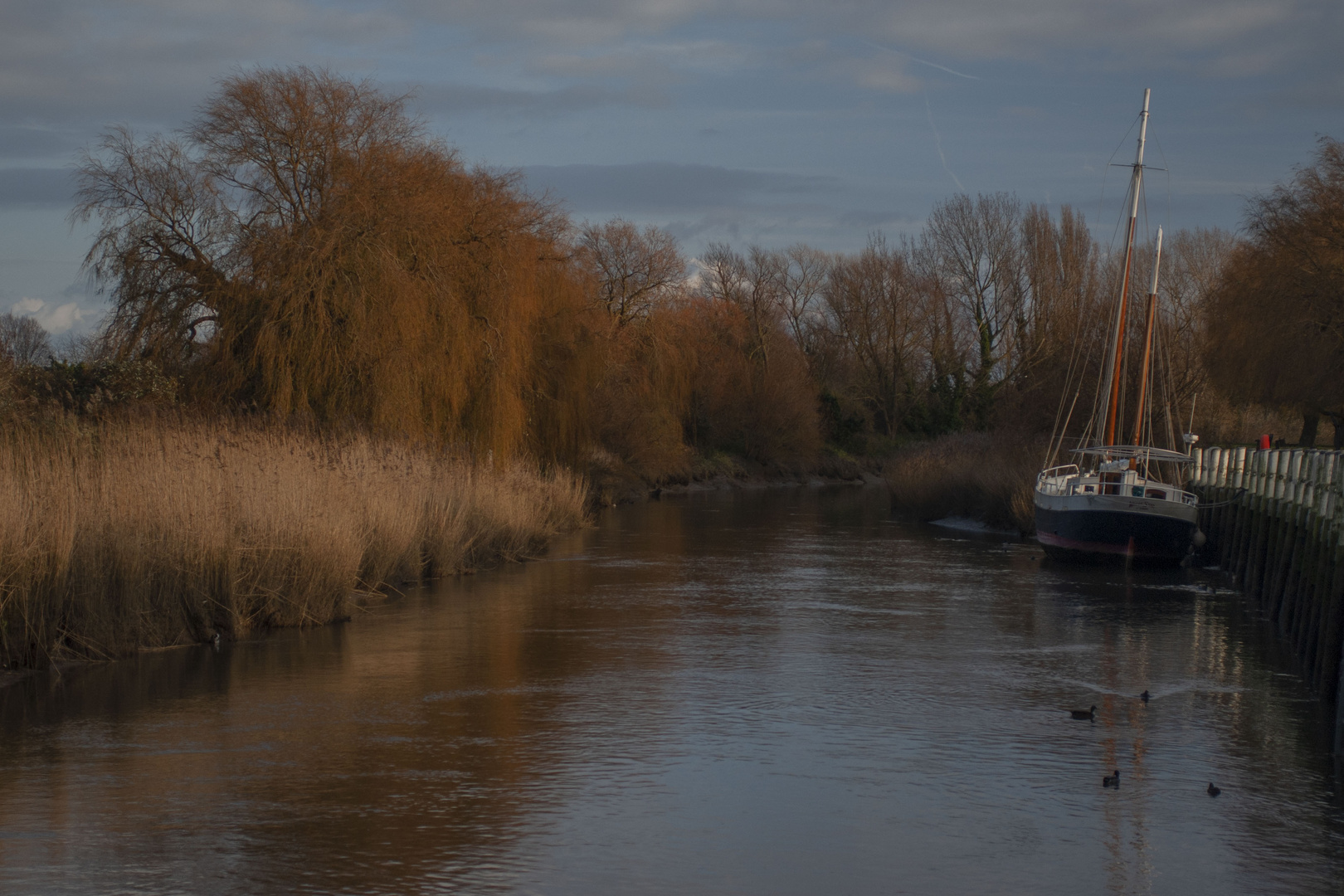 Winter Tide