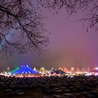 Winter - Tollwood (1)