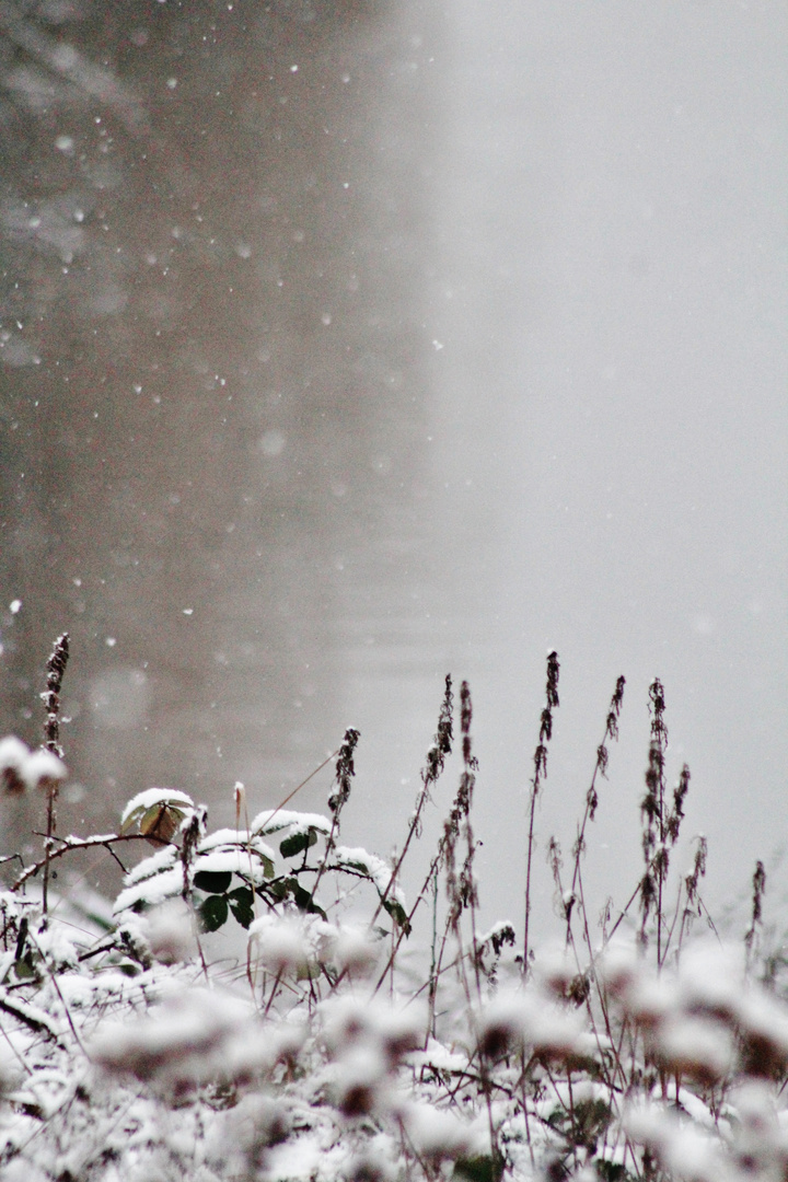 Winter Träume