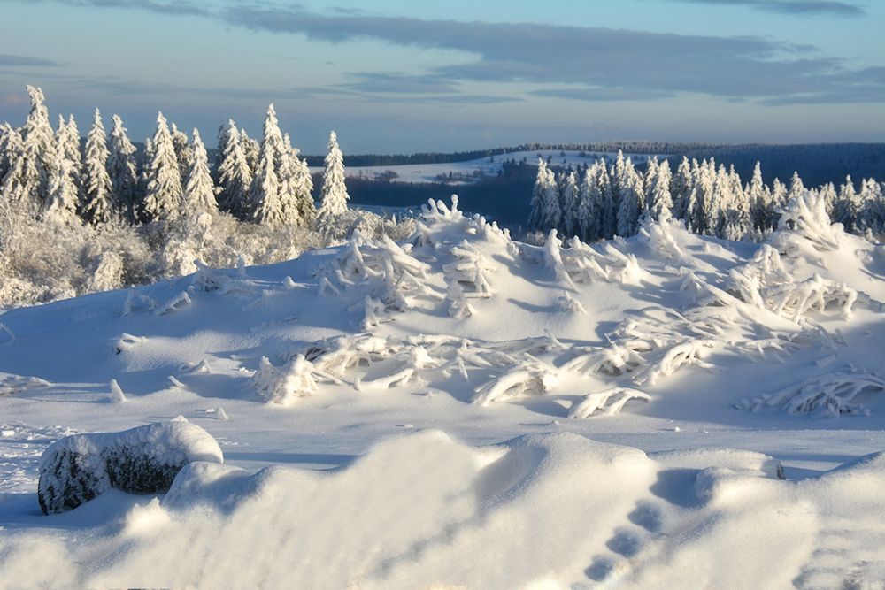 Winter Träume