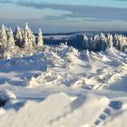 Winter Träume