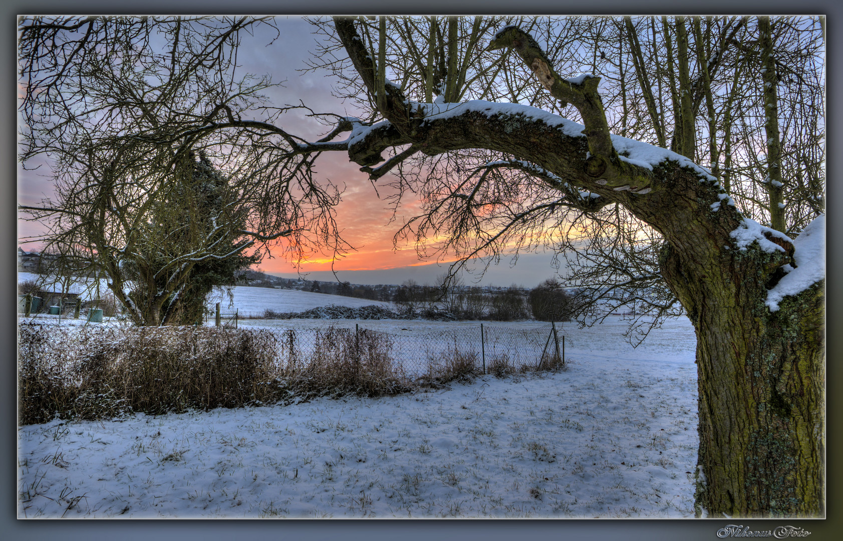 Winter Träume