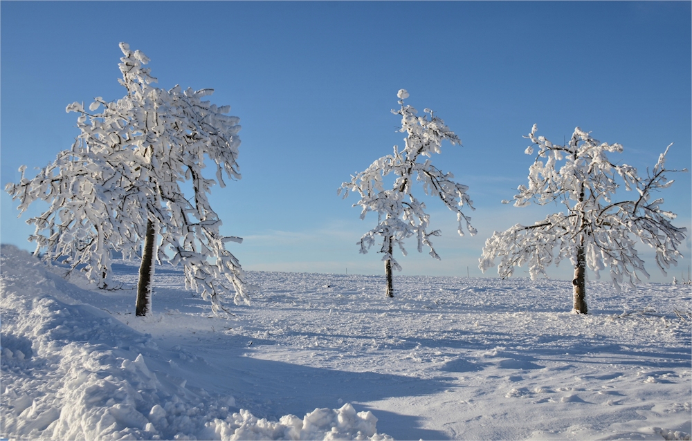 Winter - Träume