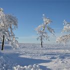 Winter - Träume