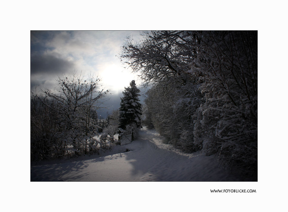 Winter Traum #2