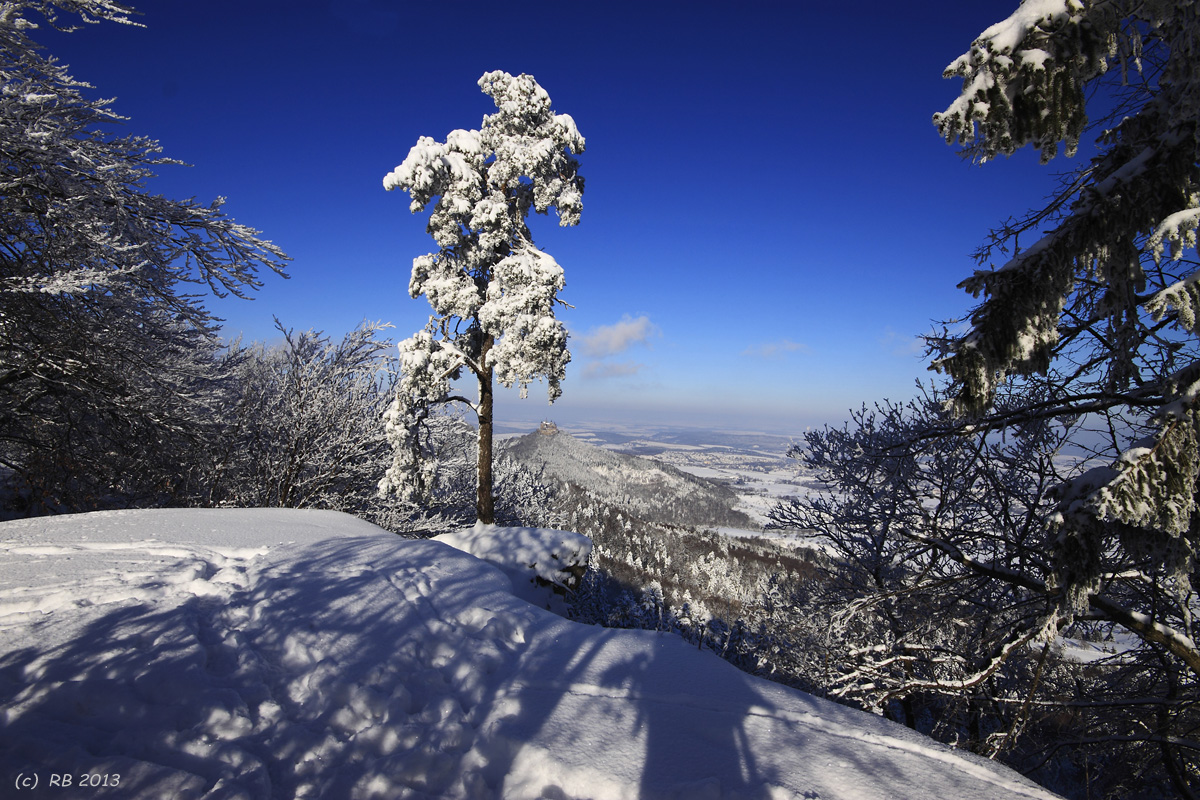 Winter-Traum am Albtrauf