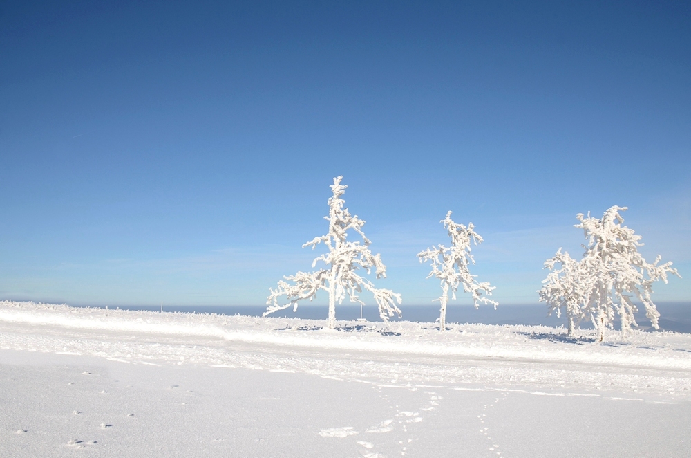 Winter - Traum.....