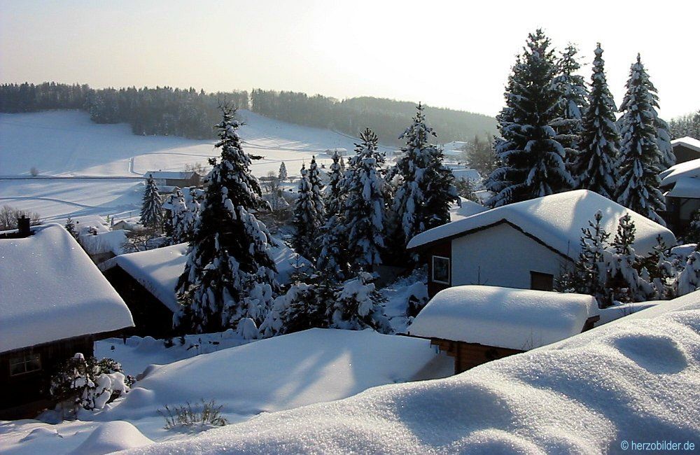 Winter-Traum im Bayerischen Wald