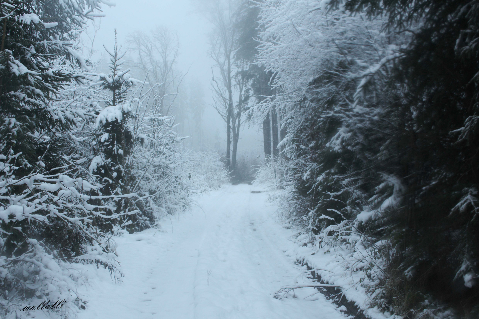 Winter-Traumlandschaft