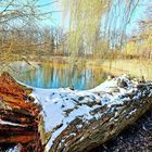 Winter Traumlandschaft See