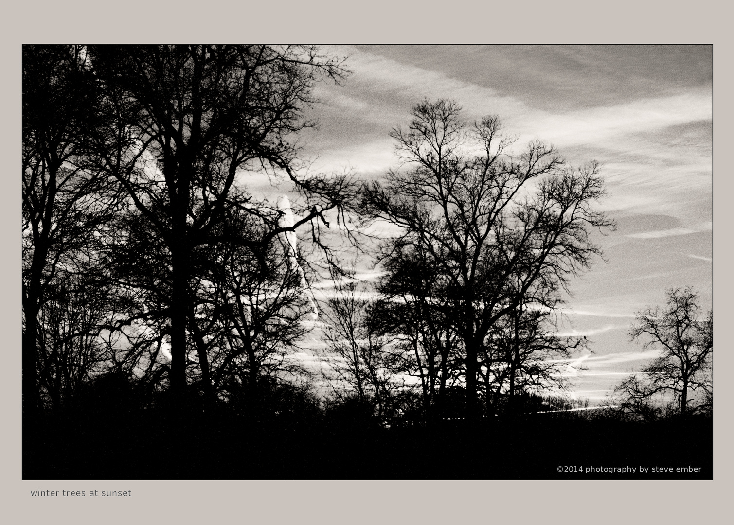 Winter Trees at Sunset - No. 1