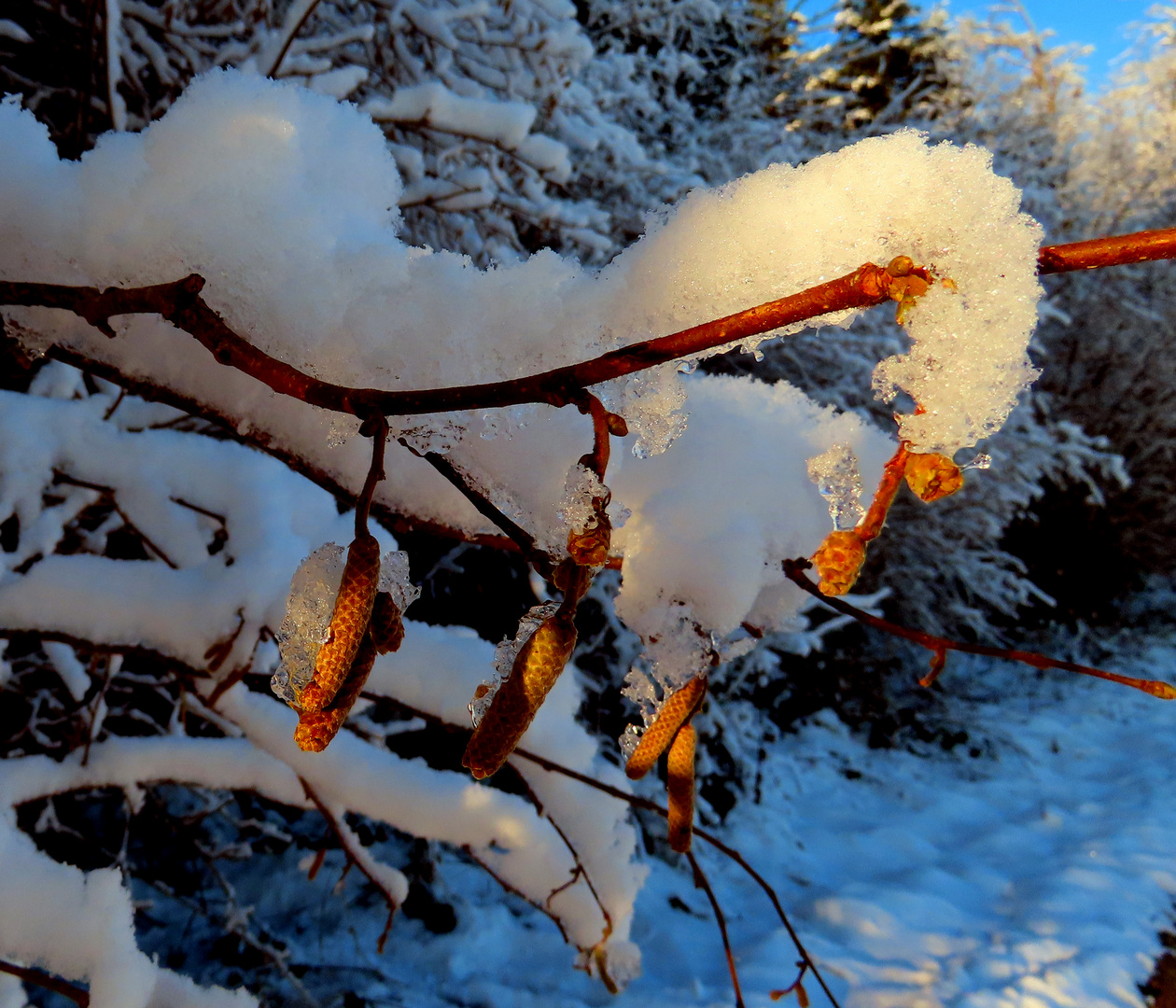 Winter trifft auf den Frühling