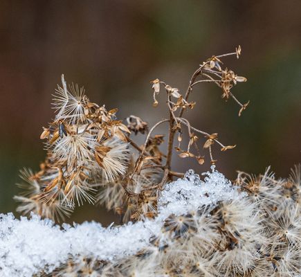 Winter trifft auf Herbst