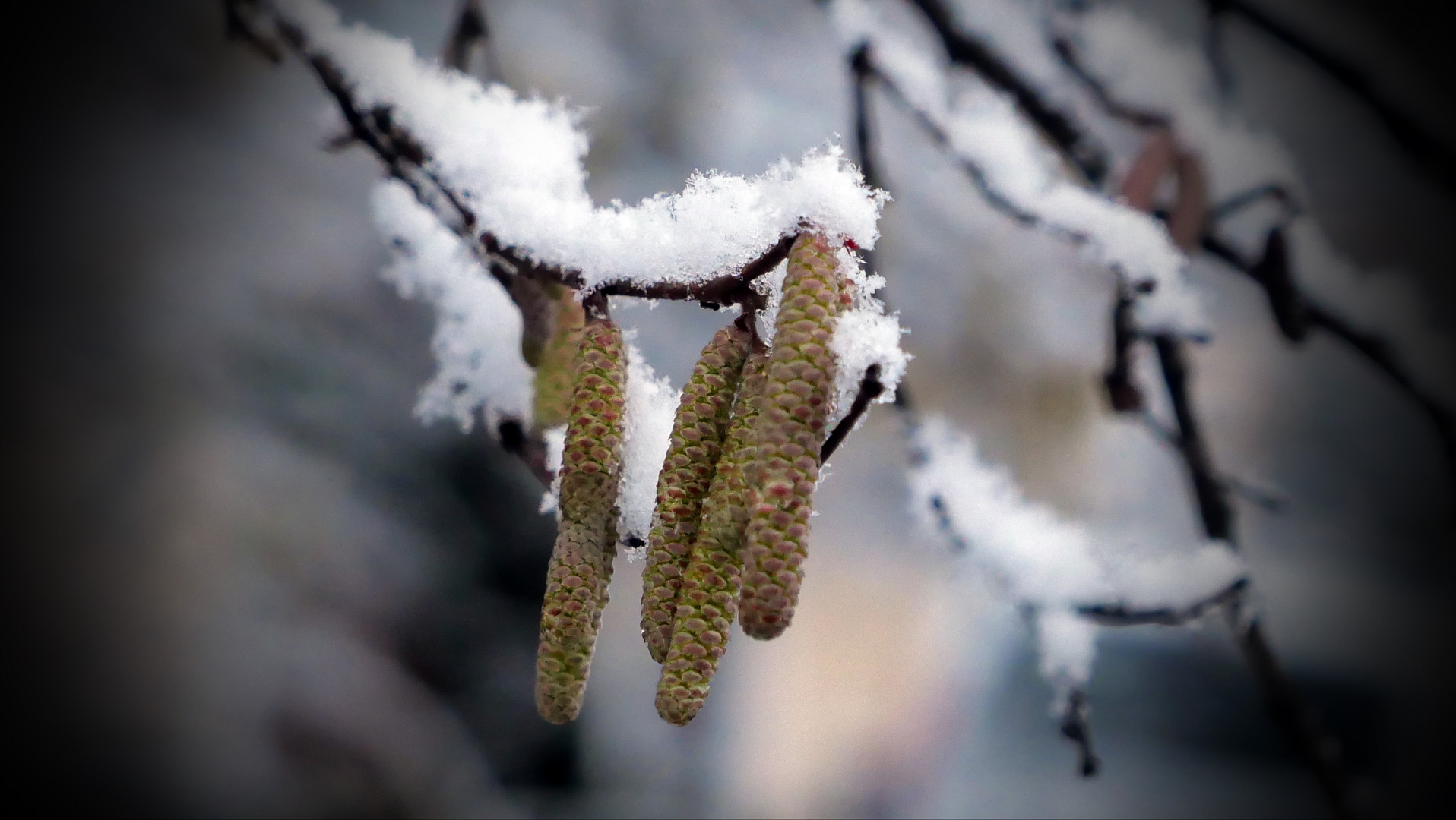 Winter trifft Frühling