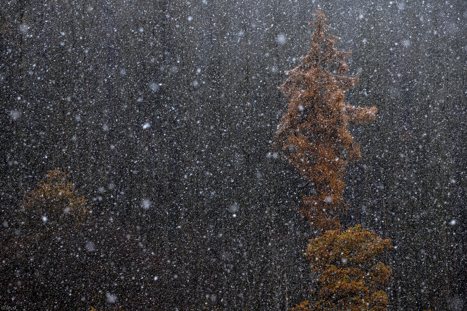 winter trifft herbst