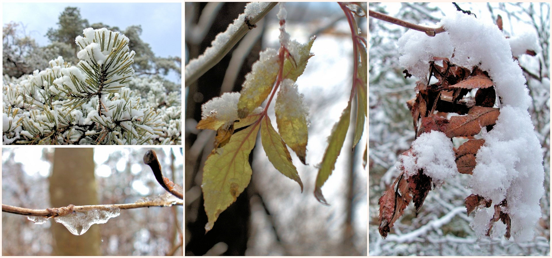 Winter trifft Herbst - Adventimpression