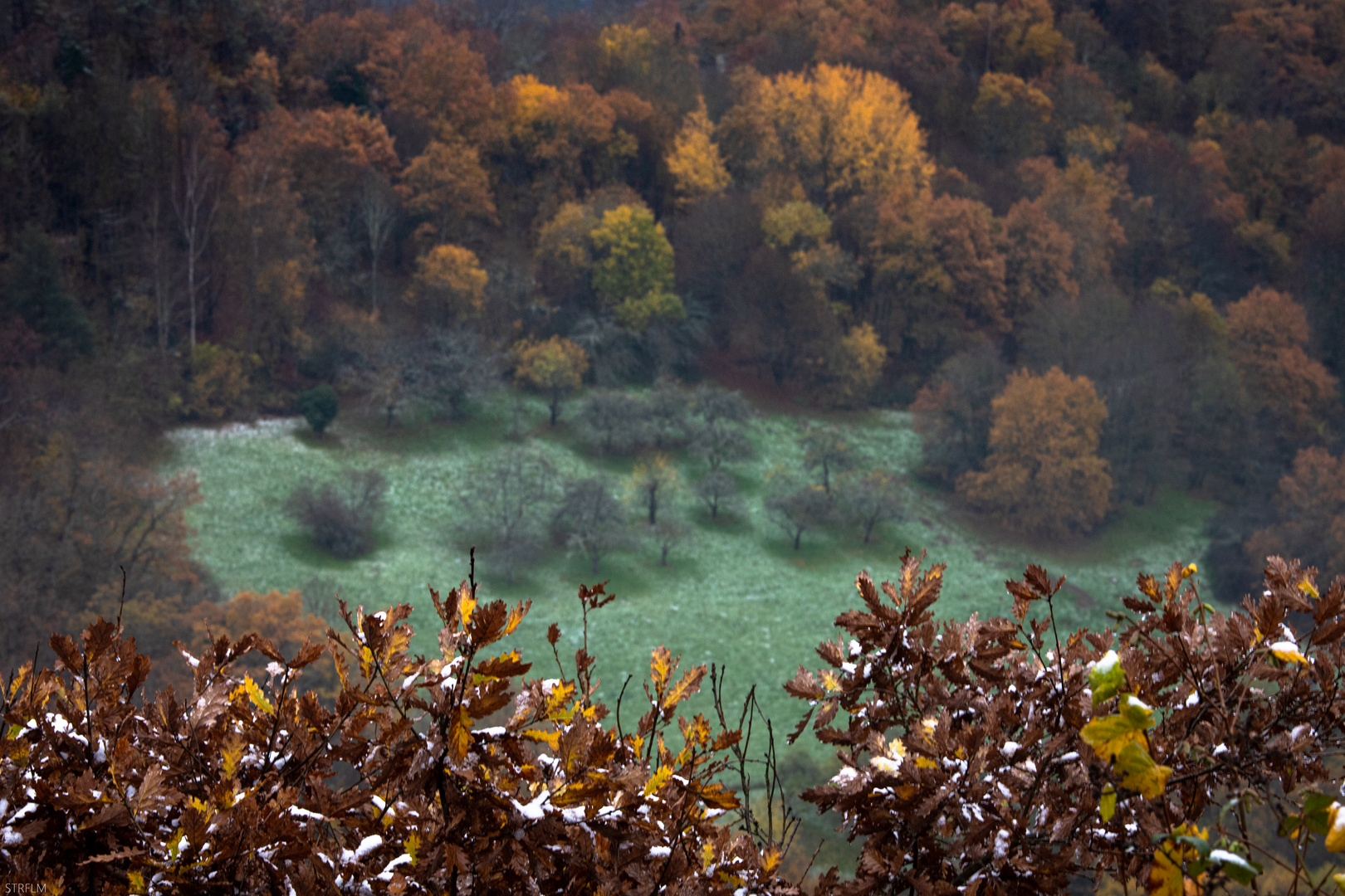 winter trifft herbst