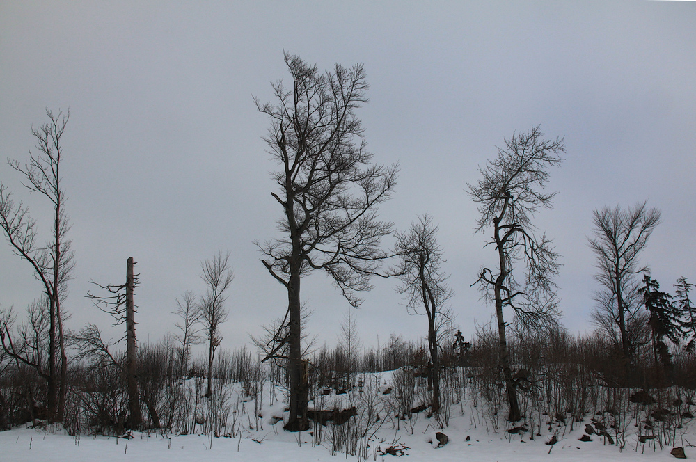 Winter-Tristesse