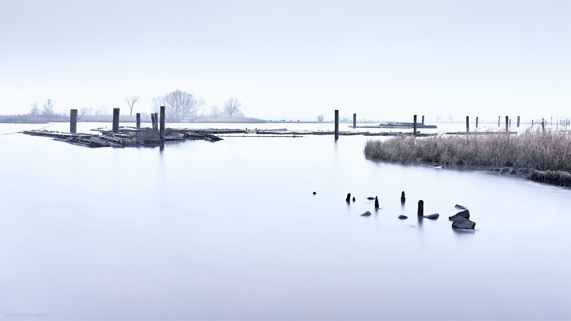 ::: Winter | Tristesse :::